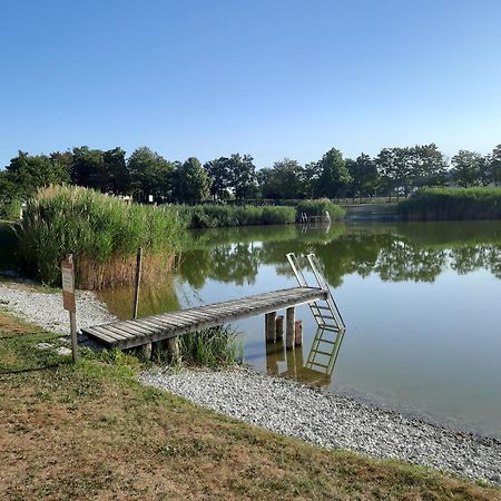 Weissenbacherhof Oslip Exteriör bild