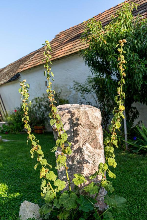 Weissenbacherhof Oslip Exteriör bild